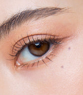 Olens ViVi Ring 1 Day Choco 巧克力色日拋美瞳隱形眼鏡